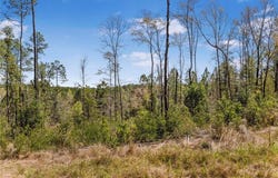 7700 Iron Rush Road, Wilmer, AL 36587