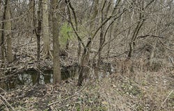 89 227th Street, Steger, IL 60475