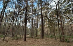 44 Masters Drive, Daufuskie Island, SC 29915