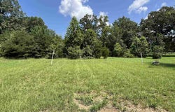 25453 CONSTITUTION HWY, RHOADESVILLE, VA 22542