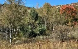 833 S EUTAW RD #46, Garden City, UT 84028