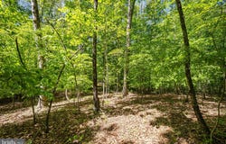 LETCHER Road E, BRANDYWINE, MD 20613