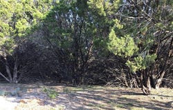 29084 Cedar Hill Dr & Timberwood Drive, Whitney, TX 76692