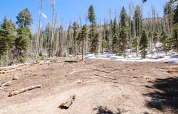 1277 State Highway 150, Taos Ski Valley, NM 87525