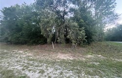 9553 N Travis Drive, Citrus Springs, FL 34434