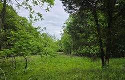 Tbd Boatmans Mountain Lot 3 Road, Morristown, TN 37814