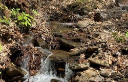 423 Haven Ridge Trail, Franklin, NC 28734