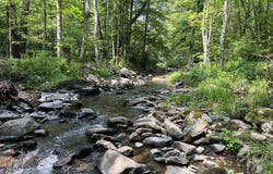 Ny-22, Austerlitz, NY 12017
