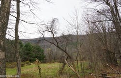 148 Acres Mount Eden Estates Road, Lexington, NY 12452