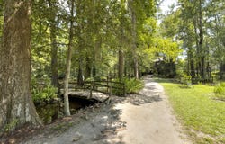 11 Bland Avenue, Sumter, SC 29150