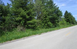 VL Doyle Road, Jefferson, OH 44047