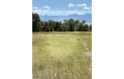 Hwy 41 N, Silver Star, MT 59751