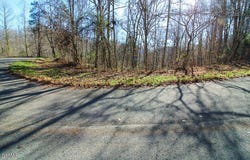 Lot 421 Mystic Star Drive, New Tazewell, TN 37825