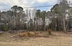 8199 Moses Dingle Road, Manning, SC 29102