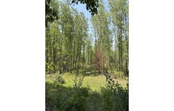 V/L 200th Avenue, Morley, MI 49336