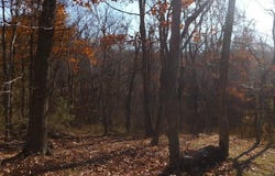 3525 BIG BRANCH Road, Riner, VA 24149