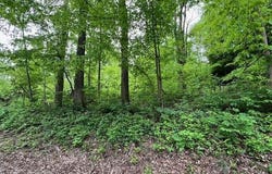 0 Swigart Rd., Bellville, OH 44813