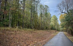 00 Scott Road, Sipsey, AL 35584