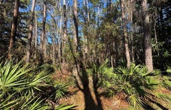 1106 Narbonne Place, Dauphin Island, AL 36528