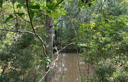 Bell Drive, Creola, AL 36525