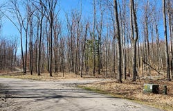 522 Red Pine Court, Lewiston, MI 49756