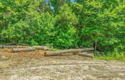 4.7 acres(Lot 1) of 16106 Boundary Line  RD, Garfield, AR 72732
