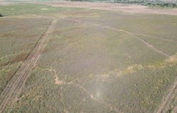 FM 262, Crowell, TX 79227