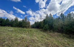 Hwy. 49, Brookland, AR 72417-0000