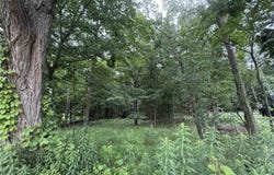 L52 Draper Street, Baraboo, WI 53913