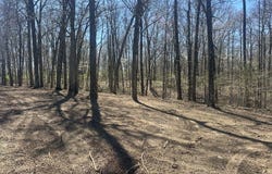 Arnold Thomas Rd lot: 4A, Silver Point, TN 38582