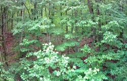 0 Tn-156, South Pittsburg, TN 37380