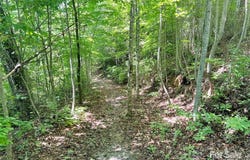 521 Signal Ridge, Sylva, NC 28779