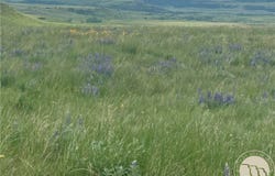 15.9 Ac Buck Creek Road, Absarokee, MT 59001