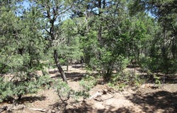 1 OWL Road, Tijeras, NM 87059