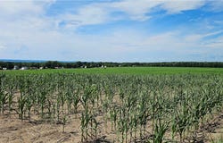 Rt-96A, Romulus, NY 14521