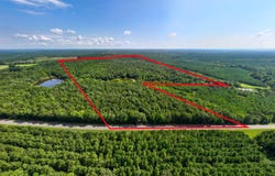 110 Acres Talbotton, Butler, GA 31006
