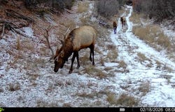 18946 County Road 57, Maybell, CO 81640