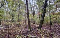 Youngblood Road, Dundee, MS 38626