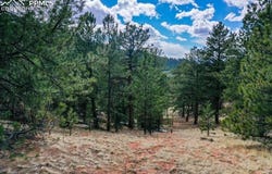 395 WABASH Terrace, Cripple Creek, CO 80813
