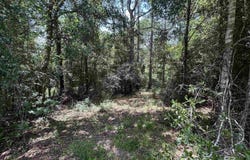 10790 Cattle Branch Court, Mobile, AL 36608
