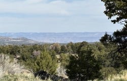 4511 S 16 1/2 Road, Glade Park, CO 81523