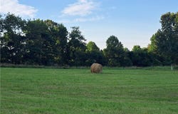 0 Cedar Hill Road, Dexter City, OH 45727