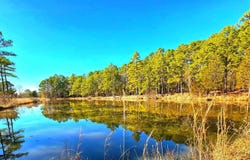 20288 State Highway 63, Hogen, OK 74939
