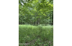 L11 C Buel Road, Conesville, NY 12076
