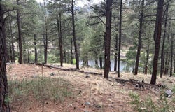 3 COUNTY ROAD N1029 --, Greer, AZ 85927