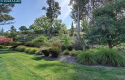 1125 Stanley Dollar Dr, Walnut Creek, CA 94595
