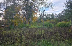 9 Lots MCKINLEY ST, Tomahawk, WI 54487