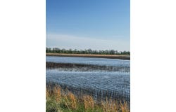 1962 acres Upper Lockhart Road, Cord, AR 72524