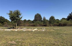 252 Old Baptist Road, Ardmore, TN 38449