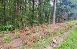 0 2Nd Texas Road, SC 29477